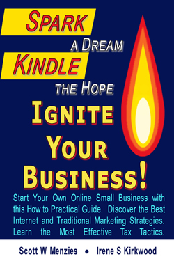 Spark Kindle Ignite book cover